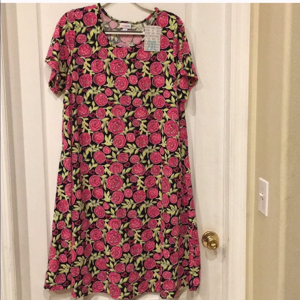 LuLaRoe BNWT 2019 Jessie Swing Dress 2xl Roses